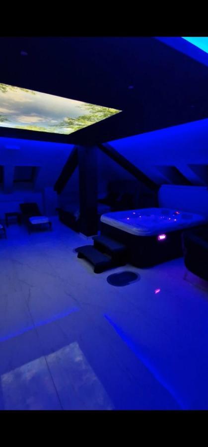 Hedonic Wellness Ниш